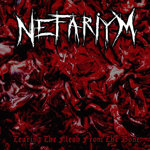 Nefariym : Tearing the Flesh from the Bone